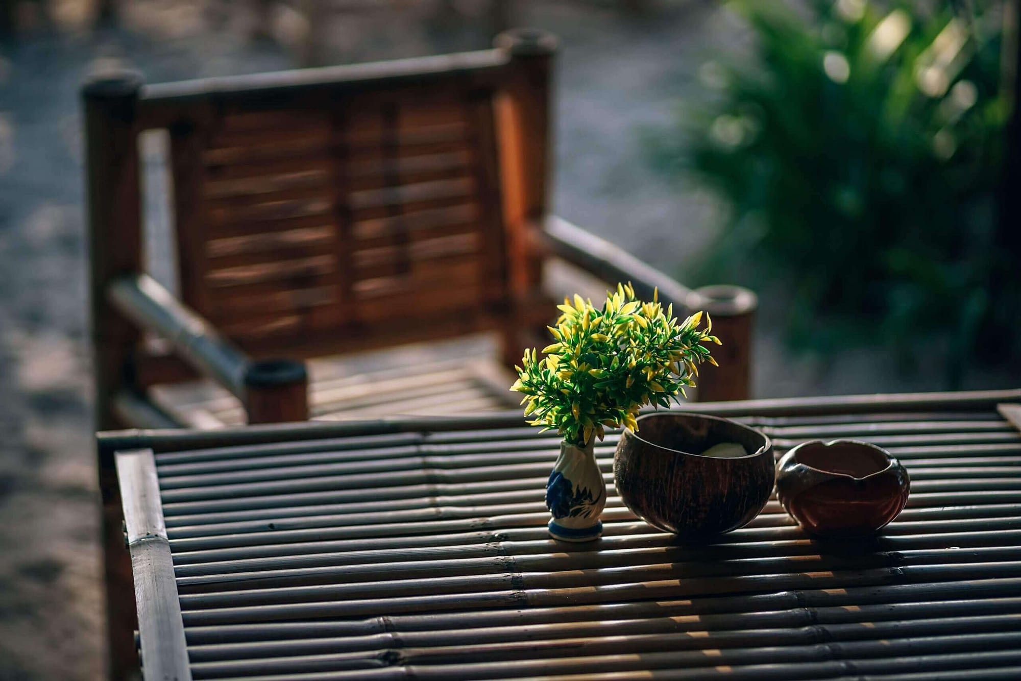 Green Leafed Plant on Table